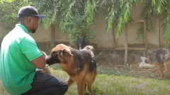 Wilson Ndayizeye ariko aragaburira imbwa 