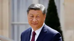 शी जिनपिंग