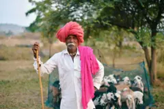 सरकारकडून महामंडळ स्थापनेचा धडाका, पण ही महामंडळं नक्की कोणाच्या फायद्याची?