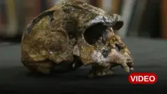 మనిషి పుర్రె, పురావస్తు శాస్త్రవేత్తలు, ఆర్కియాలజీ, చైనా