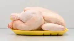 Un pollo en una bandeja