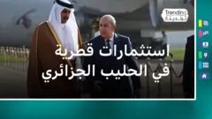 استثمارات قطرية في الحليب الجزائري