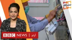 سیربین، بجلی چوری