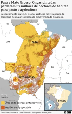 Mapa mostra perda de vegetação em habitat da onça-pintada, nos estados do Mato Grosso e Pará