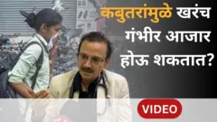 थंबनेल