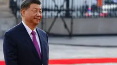 شی جین‌پینگ، رئیس جمهور چین