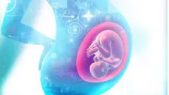 গর্ভাবস্থায় শিশু ভ্রুণ