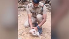 करेन्ट लागेर बेहोस भएको बाँदर बचाउन 'सीपीआर' गरेको 'भाइरल' भिडिओ