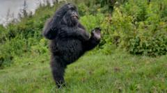 2025'in en komik hayvan fotoğrafları