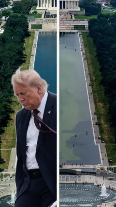 Дональд Трамп на фоне Зеркального бассейна