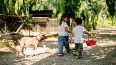 Duas crianças carregando uma cestinha. Ao lado delas há um animal e árvores.