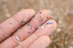 પ્લાસ્ટિક