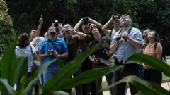Grupo de pessoas com binóculos olhando para o alto