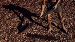 Homem seca amêndoas de cacau