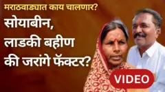 ग्राफिक्स