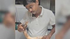 தமிழிகம்: தூத்துக்குடியில் கண்டுபிடிக்கப்பட்ட புதிய வகை விலாங்கு மீனுக்கு தமிழ் மொழியை பெயராகச் சூட்டியது ஏன்?