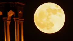 被稱為「雄鹿月」（Buck Moon）的滿月於2026年7月29日在埃及首都開羅升起，與一座清真寺的宣禮塔並列於畫面中。