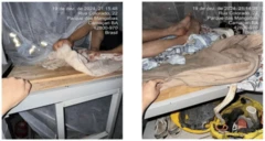 Detalhe do estrado de madeira onde dormiam os trabalhadores
