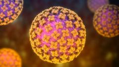 Qué es el hantavirus, la infección sospechosa de causar 3 muertes en un crucero que zarpó de Ushuaia (y cuán extendido está en Argentina)