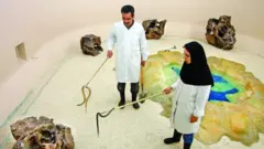 زهرگیری مارها در موسسه رازی 