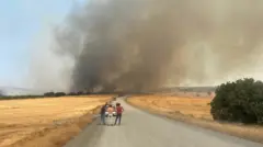 Çanakkale'deki yangın