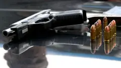 Arma de fogo e munições