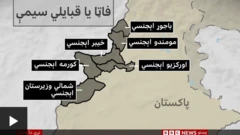 فاټا