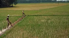 5 லட்சம் ஏக்கர் குறுவை நெல் சாகுபடியை காப்பாற்ற முடியுமா?