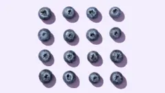 Açık mor bir arka plan üzerinde kare şeklinde dizilmiş yaban mersinleri