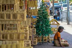 නත්තල් ගහක් රුපියල් 2000 සිට කොළඹ, හැව්ලොක් ප්‍රදේශයේ අලෙවි වේ.