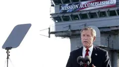 bush