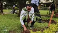 MM Abiy biqiltuu dhaabaa jiru