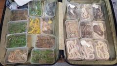 عکس چمدان قاچاقیان خزندگان