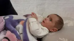 நிவீன், இஸ்ரேல் - காஸா