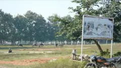 ধন্নীপুর গ্রামে মসজিদের জন্য বরাদ্দ করা জায়গায় গাছপালার মাঝখানে খোলা মাঠ। সেখানে বসে আছেন একজন, পাঁচটি গরু চড়ে বেড়াচ্ছে। একপাশে একটি মোটরসাইকেল রাখা 