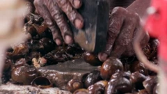 நத்தைக்கறி, ஆந்திரா