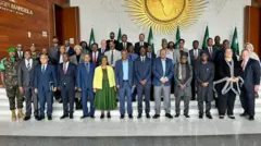 በአፍሪካ ህብረት ጥላ ስር የተካሄደው ግምገማ ተሳታፊዎች