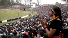 क्रिकेट 