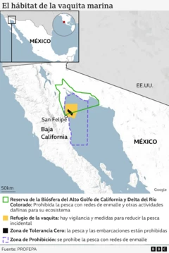 Mapa de las diferentes zonas de protección de la vaquita en el Alto Golfo de California