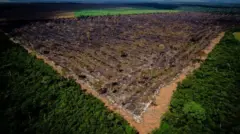 Desmatamentosaldo congelado h2betMato Grosso