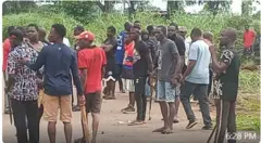 Ndị ntorobia Awha dị n'Enugwu 