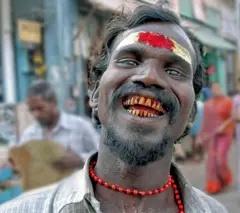 पान, मावा आणि बिडीमुळे जातोय लाखो जीवांचा बळी