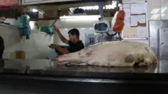 Pernil.