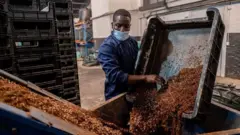 الذباب