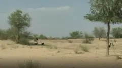 థార్ ఎడారి ప్రాంతం