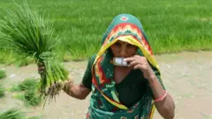 પ્રતીકાત્મક તસવીર