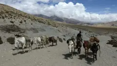 नेपाल चीन
