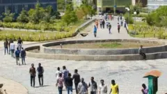 ቀጽሪ ዩኒቨርሲቲ ወልዲያ