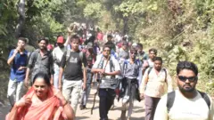 ગિરનાર, ગિર જંગલ, સિંહ, લીલી પરિક્રમા, પ્લાસ્ટિકનો કચરો, વન વિભાગ