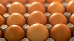 Ovos vermelhos em caixa de papelão